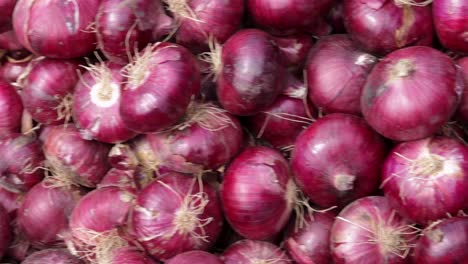 fresh-organic-onion-from-farm-close-up-from-different-angle