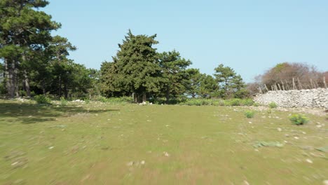 aerial dolly shot rushing through a series of walls to pull up and reveal the landscape of cres island, croatia