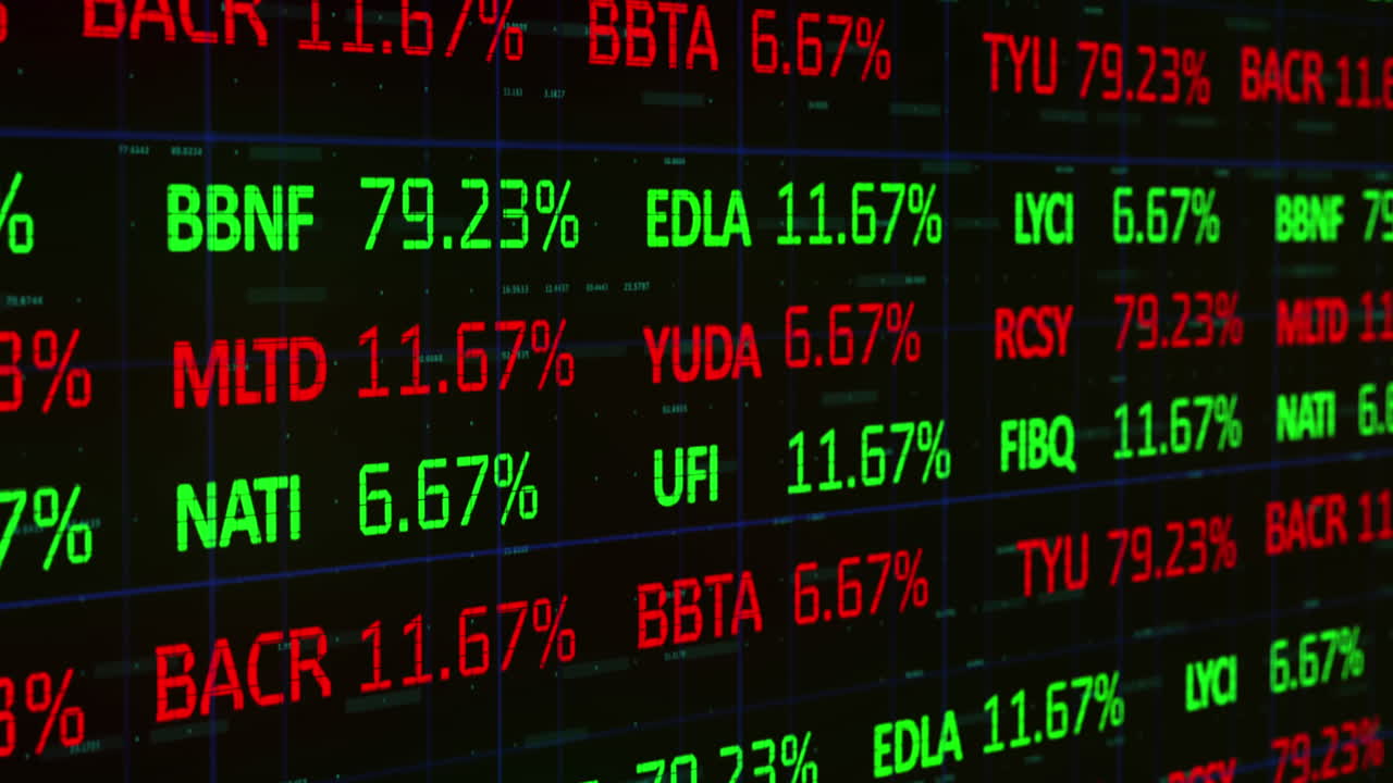 Animazione di elaborazione di dati finanziari e registrazione di statistiche