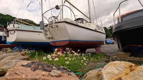 boats docked with flowers in foreground