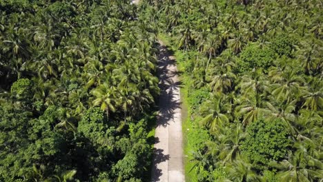 Toma-Estática-Aérea-De-Una-Carretera-Bordeada-De-Palmeras-Con-Una-Moto-Conduciendo-Hacia-La-Cámara-En-Siargao,-Filipinas