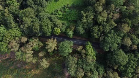 Luftaufnahme-Von-Oben-Nach-Unten-Beim-Abstieg-Und-Drehen-über-Eine-Landstraße-Und-Einen-Wald