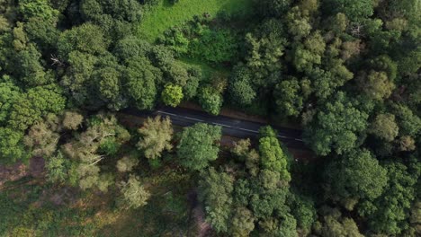 vista aérea de arriba hacia abajo descendiendo y girando sobre un camino rural y un bosque