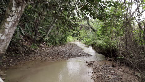 un pequeño río atraviesa una mina de oro sostenible en colombia.