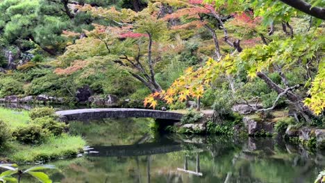 colorful autumn leaves changing colors