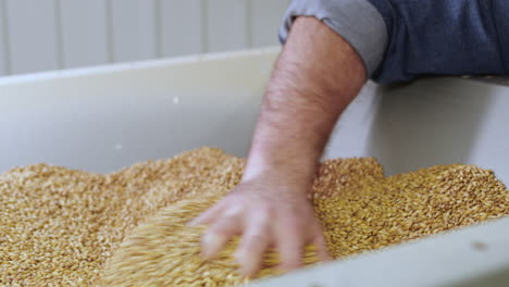 Man-working-at-brewery