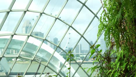 Statische-Aufnahme-Mit-Blick-Auf-Den-Singapore-Flyer-Und-Die-Innenstadt-Durch-Die-Glasfenster-Des-Nebelwald-Wintergartens-In-Den-Gardens-By-The-Bay