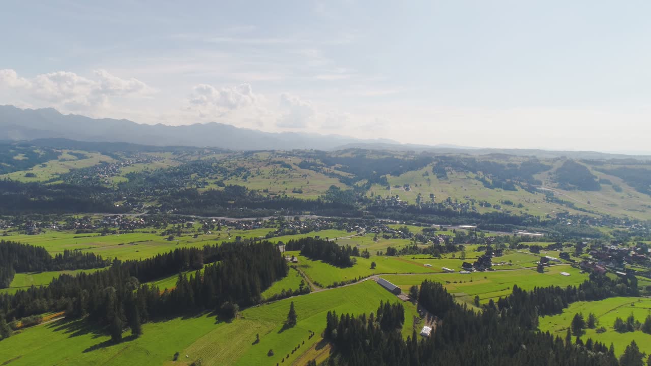volando sobre el hermoso panorama del paisaje de los árboles del bosque 30