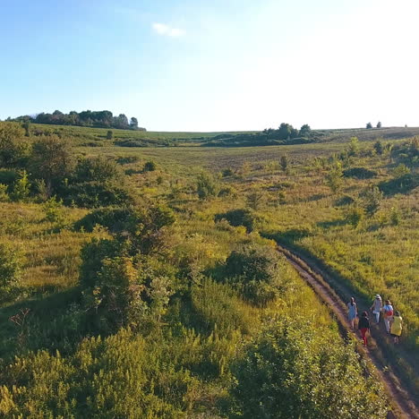 group of tourists walking through the green grass field outdoors. aerial bird's flight over rural path with people travelling among beautiful landscape in the countryside.
