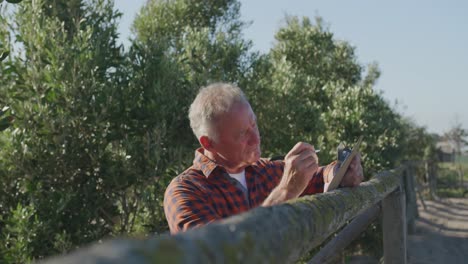 Reifer-Mann,-Der-Auf-Dem-Bauernhof-Arbeitet