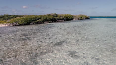 Aerial-view-Tropical-mangrove-surrounded-by-crystal-clear-waters,-Los-Roques-National-Park,-back-upward-movement
