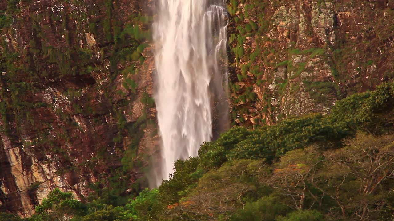una cascada al lado de un acantilado con niebla rociando las plantas cercanas - vista estática