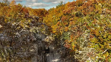 Moving-from-treetop-view-to-street-level