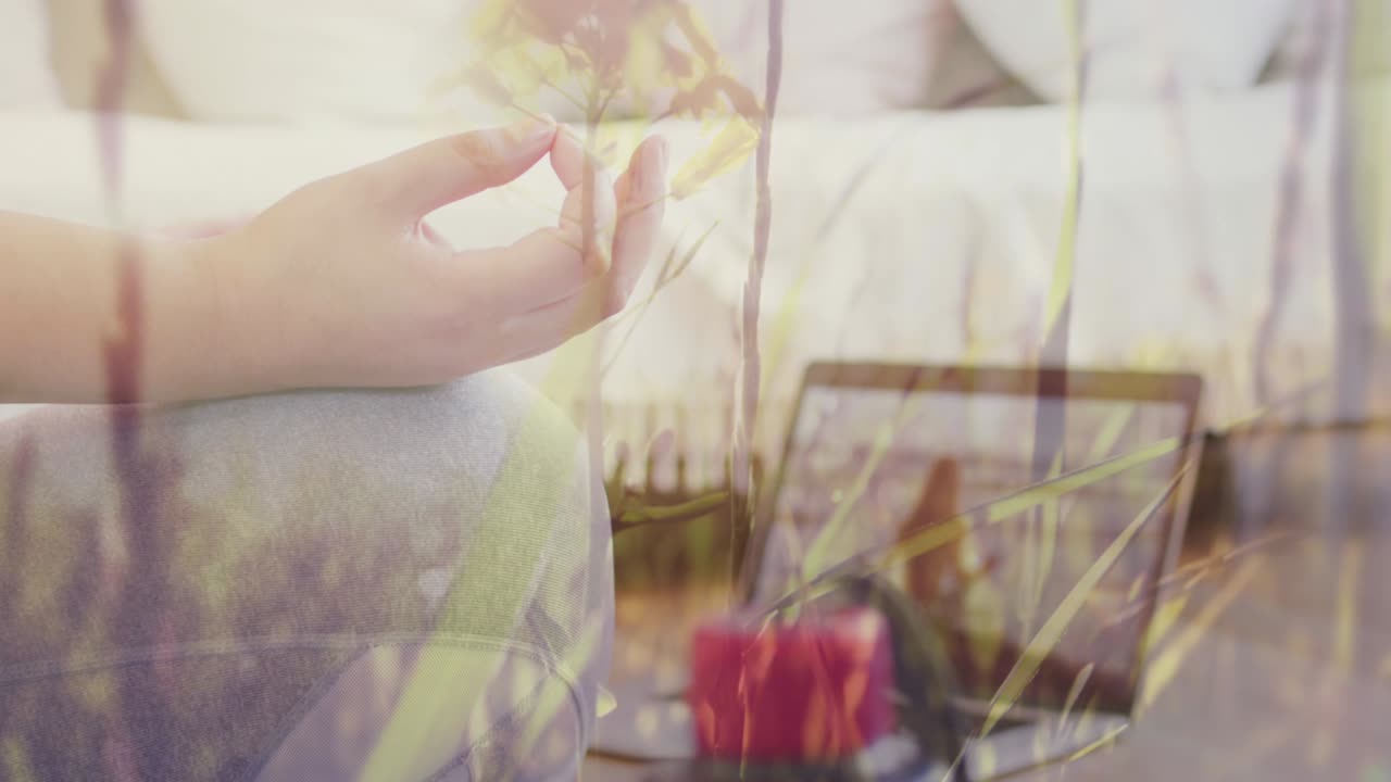 노트북을 사용하고 집에서 운동하는 여성의 초원의 애니메이션