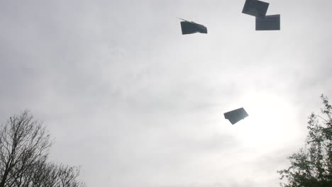 paper sheets flying in the air against a cloudy sky, capturing a sense of release and freedom, with sunlight and treetops framing the scene against the papers