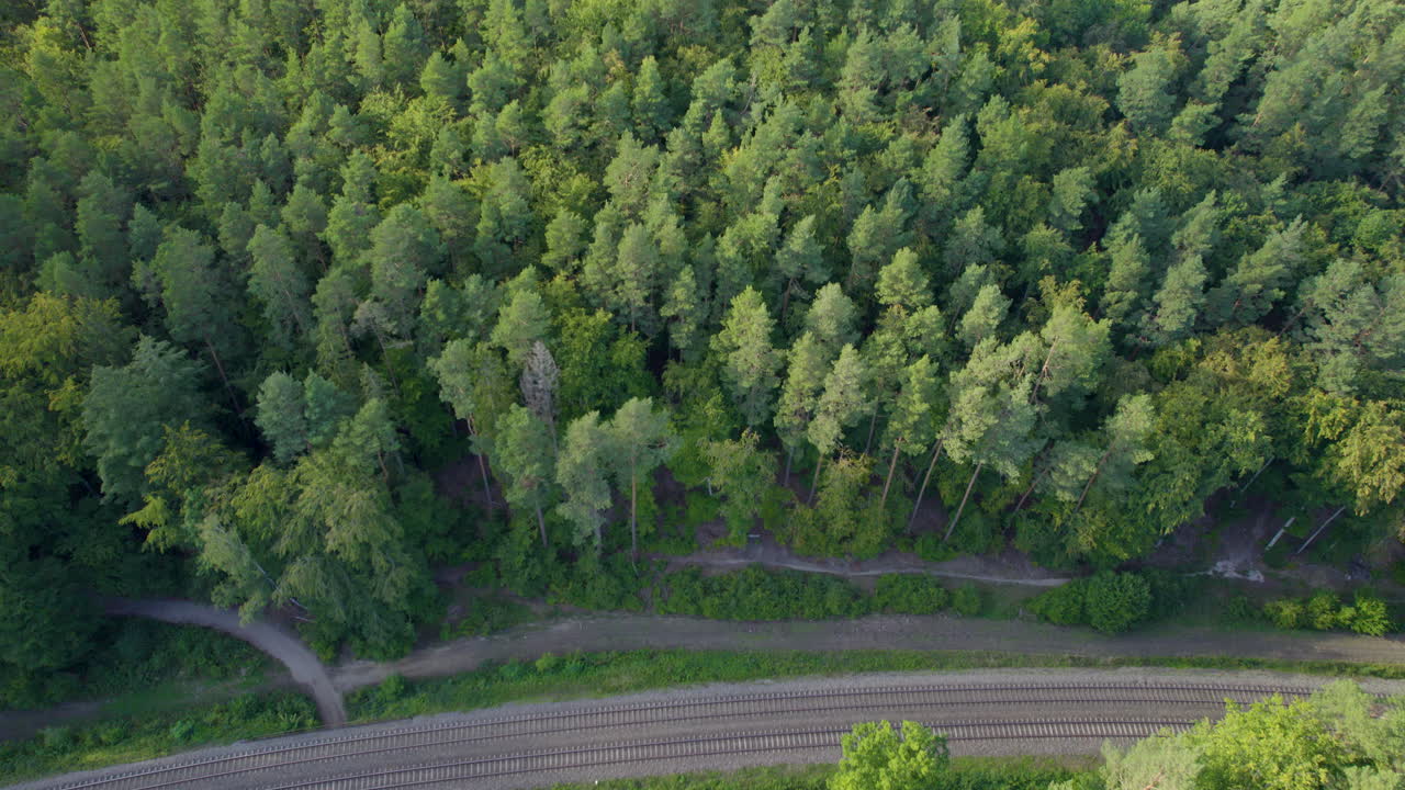 vía férrea carretera a través del denso bosque caducifolio de witomino en gdynia, polonia - inclinación hacia arriba
