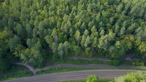 Railway-Tracks-Road-Through-Witomino-Dense-Deciduous-Forest-Forest-in-Gdynia,-Poland---Tilt-up