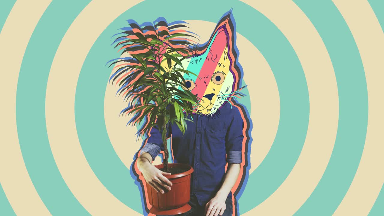 다채로운 미니멀 스타일, 레트로 키티, 몽환적인 배경.