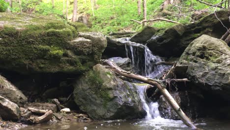 [primer-Plano]-Pequeña-Cascada-En-Un-Río-Salvaje-En-Un-Hermoso-Bosque-De-árboles-Con-Hojas-Verdes-|-Chapoteo