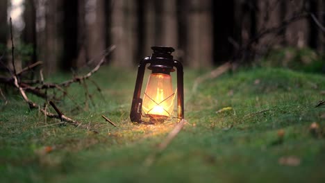 Small-amount-of-light-from-vintage-lantern-dimly-illuminates-the-forest