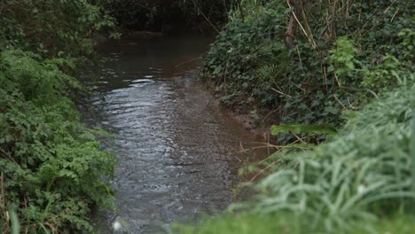 A-babbling-brook-in-the-Somerset-countryside