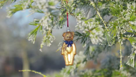 Hanging-Christmas-decoration-bear-on-branch-in-cold-sunny-winters-day
