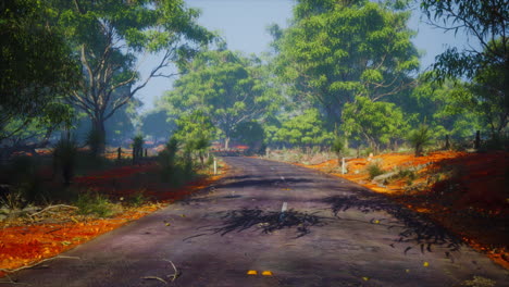 Asphalt-country-road-leading-through-rural-Senegal