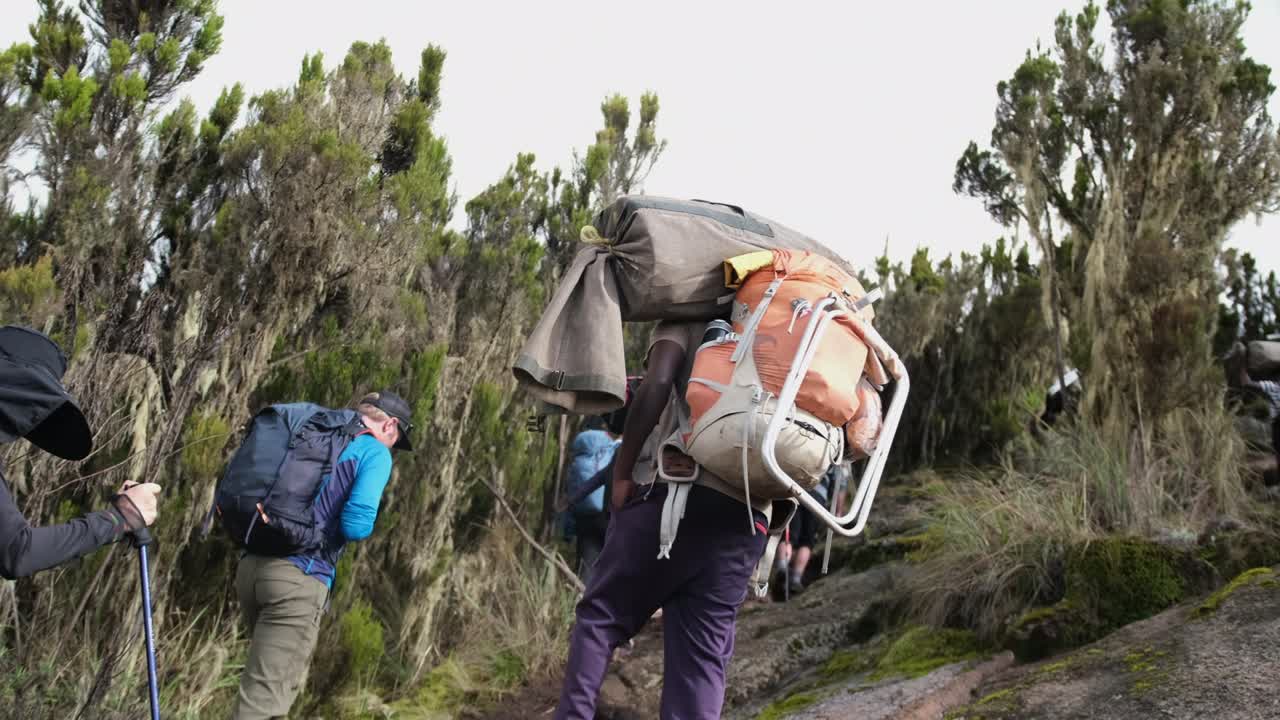 Tourists climb into the camp along with porters during the ascent of Mount Kilimanjaro
