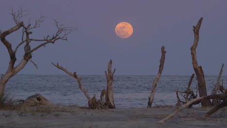 full moon rising over the ocean at sunset, medium wide