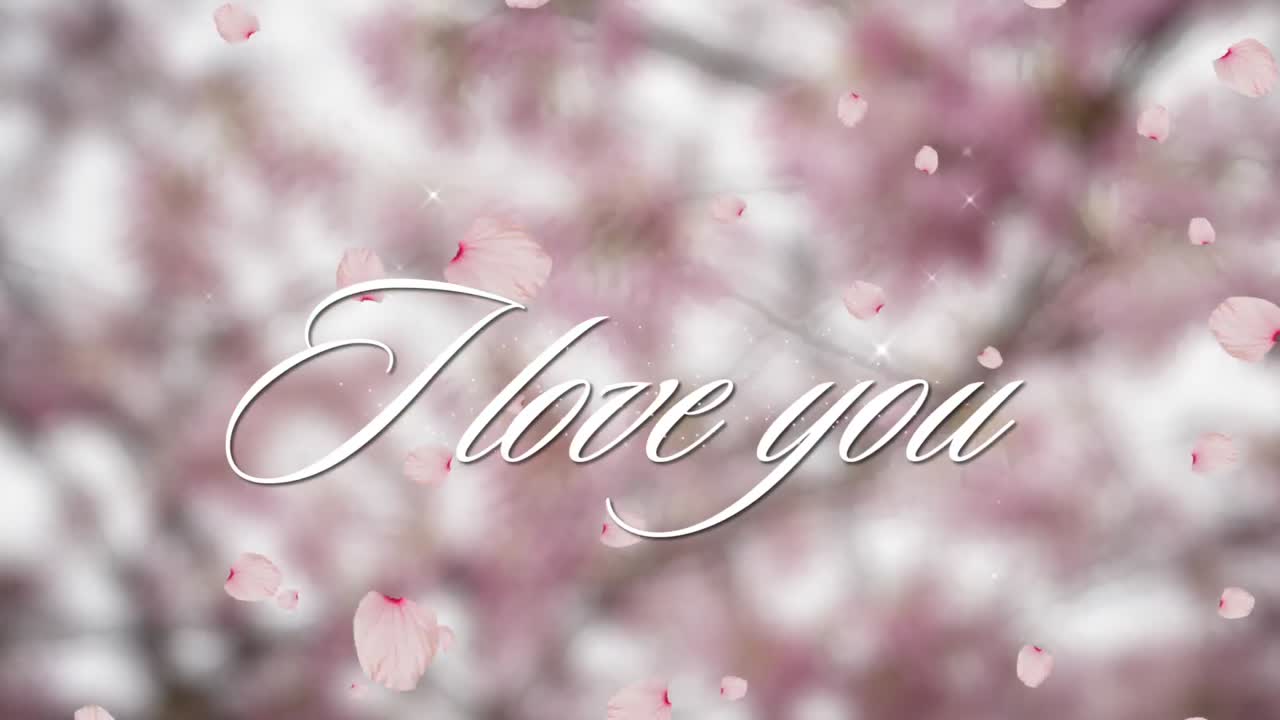 발렌타인 데이 축제