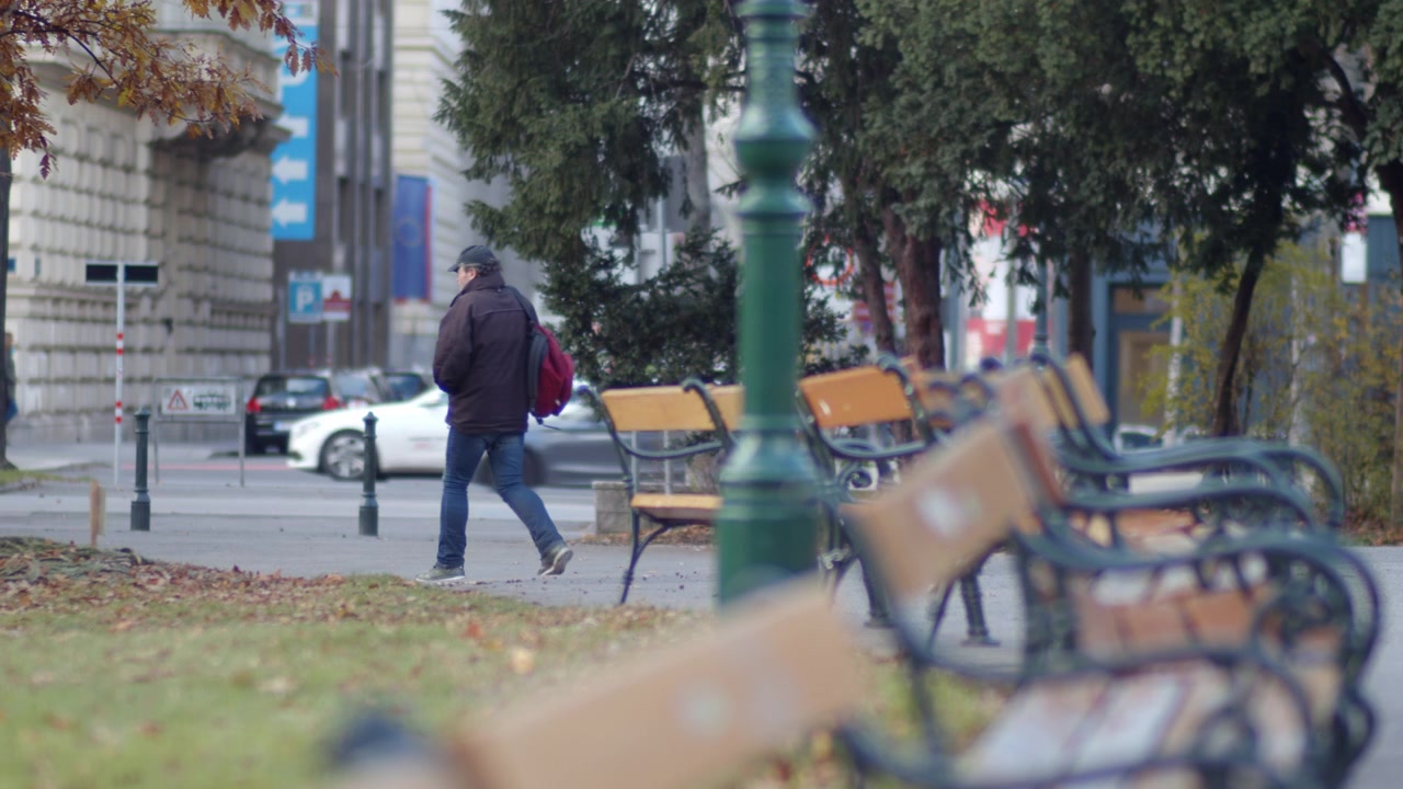 Przeostrzenie - Wiele ławek parkowych w wiedeńskim parku, turyści i samochody w tle