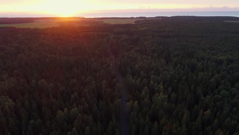 aerial view of a road in the middle of the nordic pines forest on the sunset.