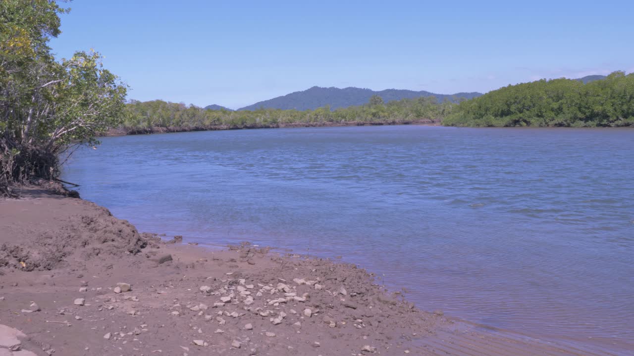 panorama del río tranquilo rodeado de árboles verdes cerca de etty bay en cassowary coast, queensland