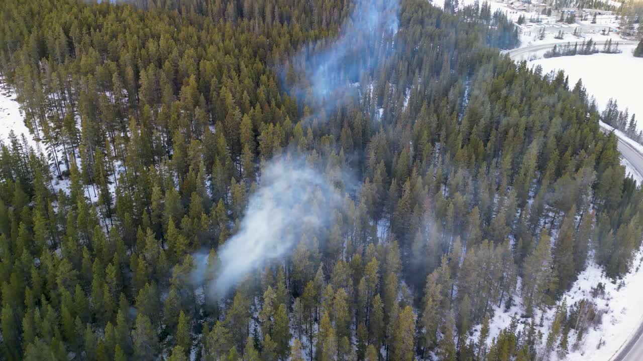 Veduta aerea di fumo da incendio controllato in area boschiva, Alberta, Canada