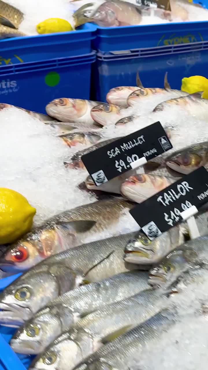 얼음 에 전시 된 다양한 물고기 와 레몬