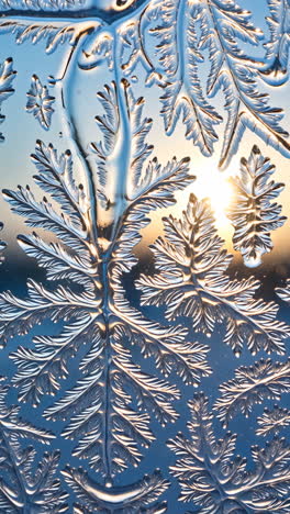 intricate frost patterns on a window at sunset