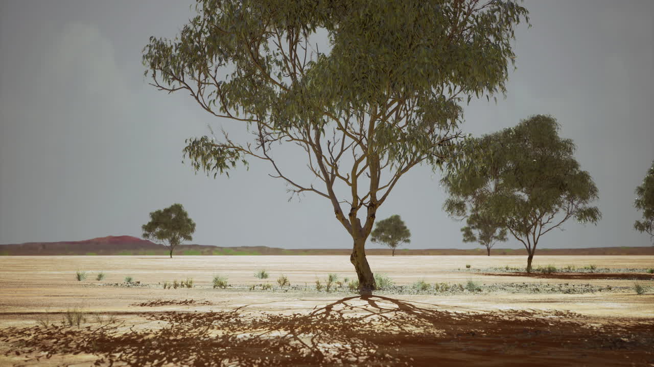 Lone tree standing in vast arid landscape under soft cloudy sky