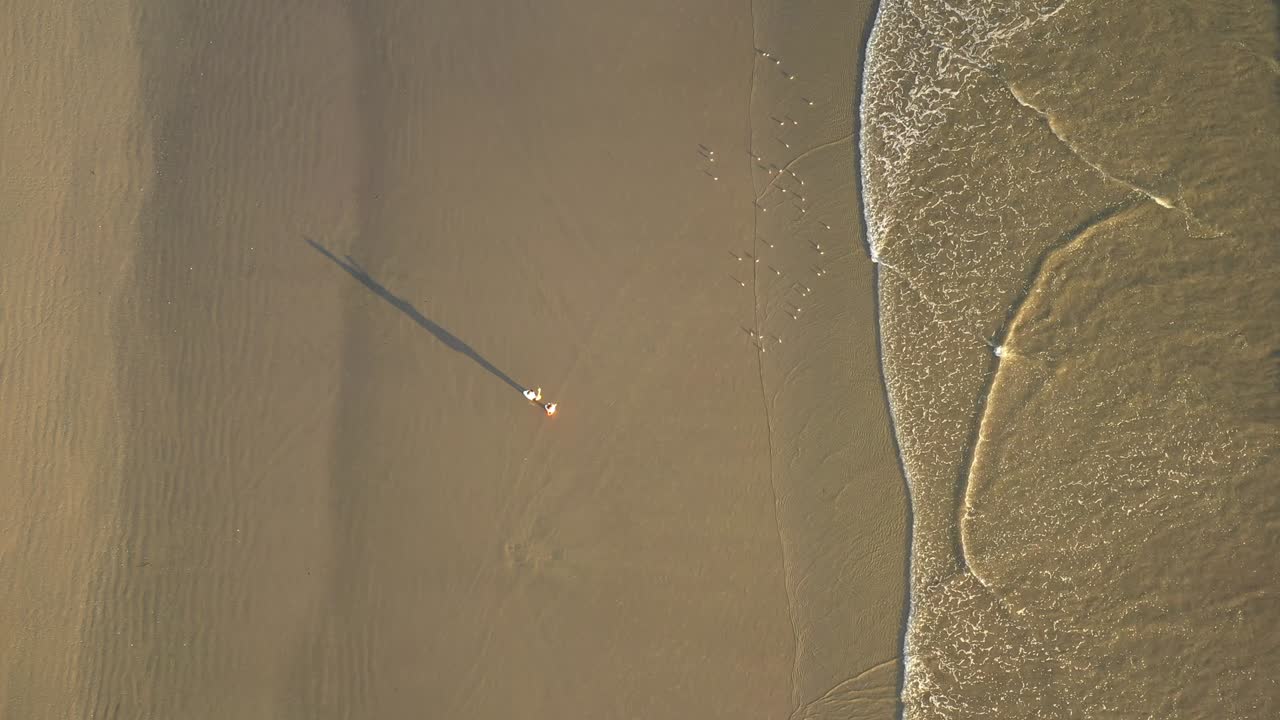 люди стоят на пляже