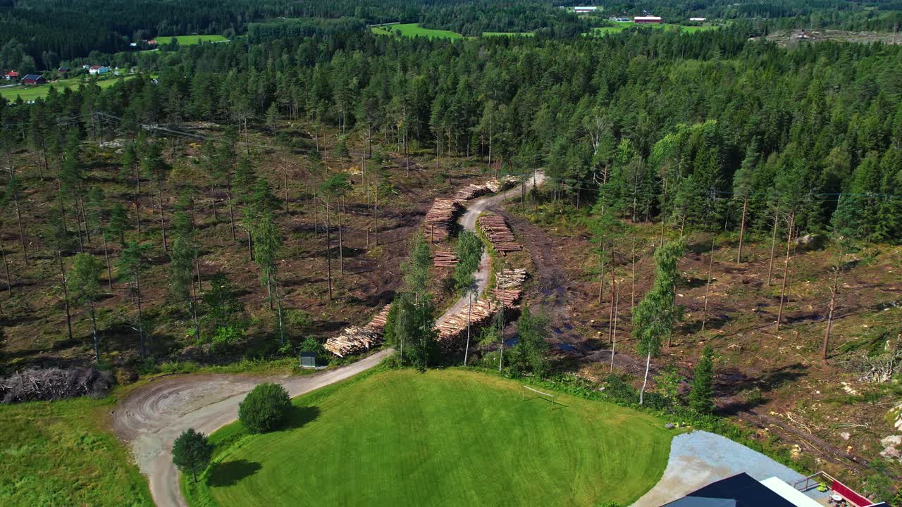 Grinås Kalhyggen – En snoet grusvej skærer gennem en nyligt fældet skov, med stablet tømmer langs det ryddede landskab – dronefoto