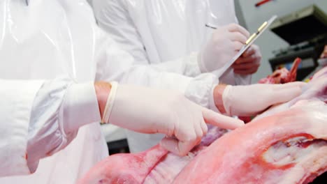 team of butcher examining meat