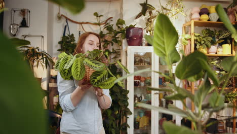 woman caring for plants in a botanical shop