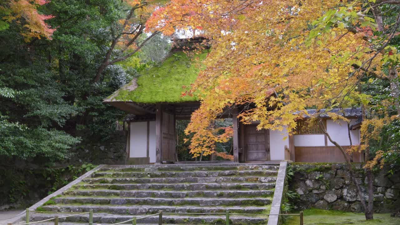 hermoso techo cubierto de musgo en el templo de hoenin durante los colores de otoño en japón