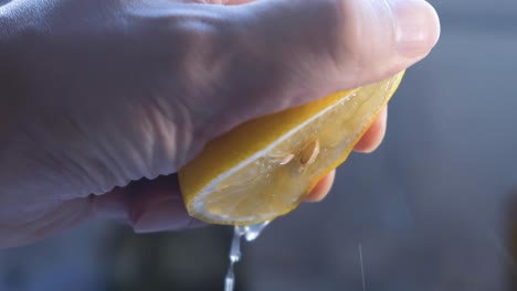The hand of a chef squeezing a fresh lemon