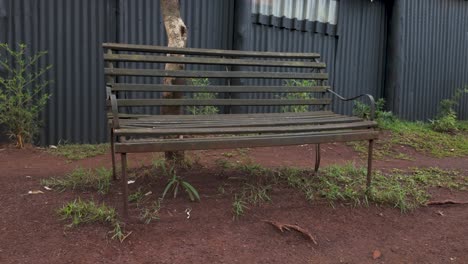 un banco solitario en medio de la naturaleza y los elementos urbanos
