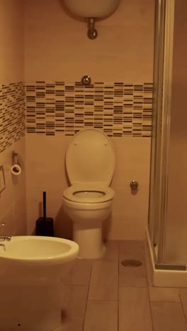 a clean, stylish bathroom with shower and toilet
