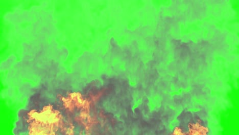 wall or line of burst fire with smoke - isolated on green screen for chromakey use - 4k uhd 60 fps 3d animation