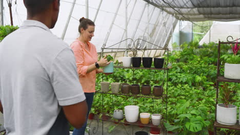 Woman choosing plant pots in greenhouse nursery, exploring various options