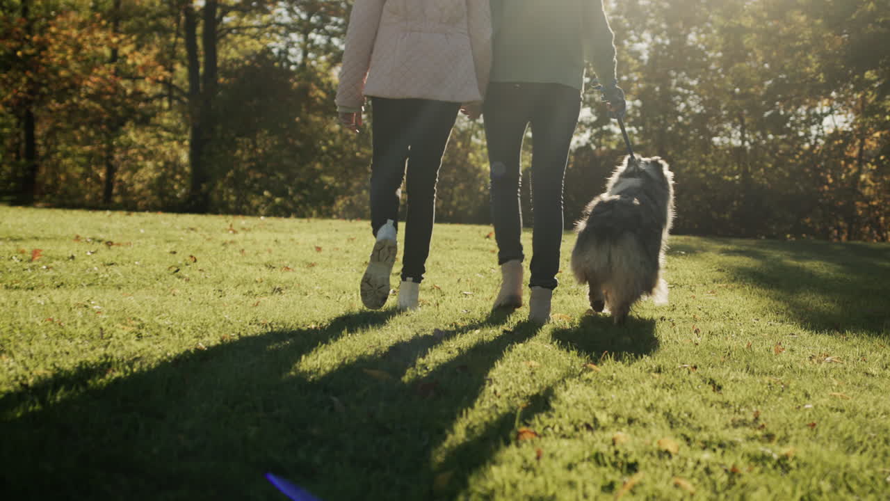mamá con su hija y un perro están caminando en el parque de otoño, caminando una mascota