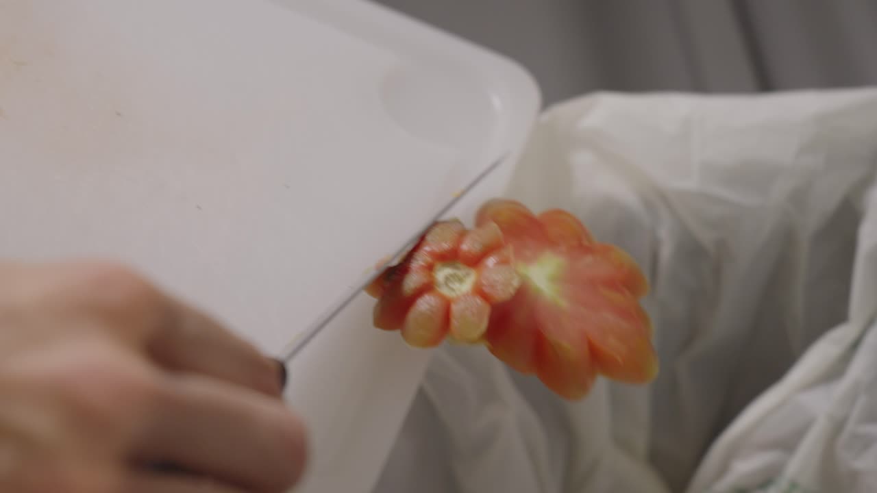 salada de tomate eliminada en contenedores de residuos de alimentos biodegradables para el reciclaje en el hogar