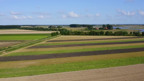 Aerial-approach-to-the-summer-fields-in-Waterdunes---a-nature-area-and-recreational-park-in-the-province-of-Zeeland,-The-Netherlands